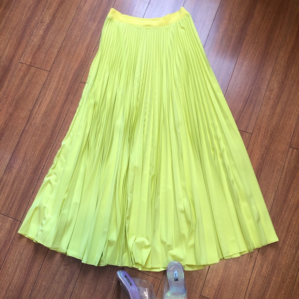 Very fashionable pleated skirt